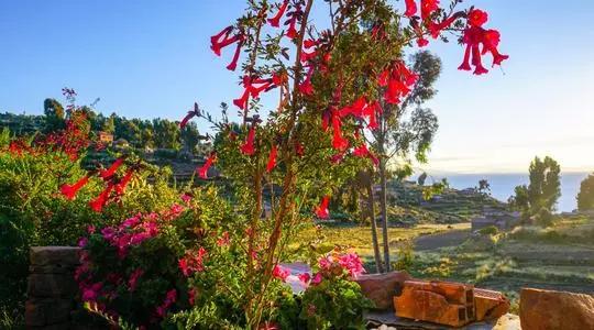 關於秘魯共和國的幾十個冷知識，您知道幾個？最神奇的國家