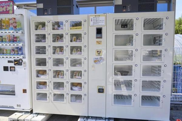 「日本」九州中部久留米-熊本-天草四日之旅