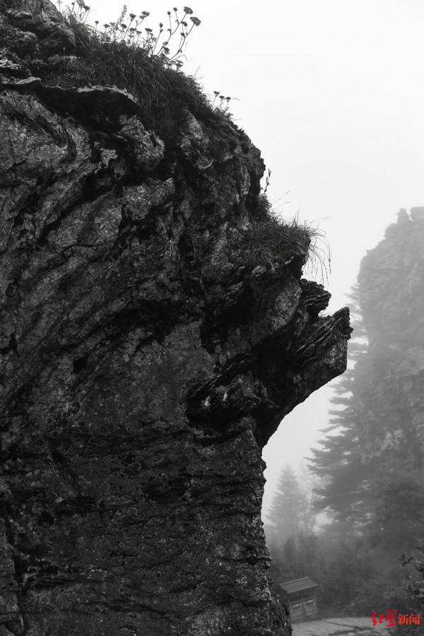 從追尋者到保護者，這位攝影師把大熊貓、金絲猴帶上聯合國生物多樣性大會