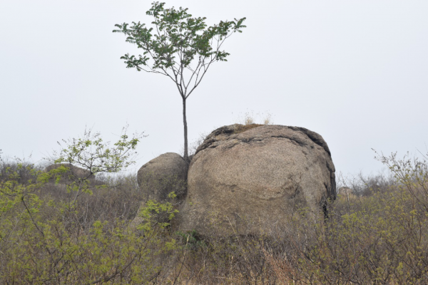 房山一地藏有25億年前地球變化的奧秘！一文讀懂這裡的傳奇之處