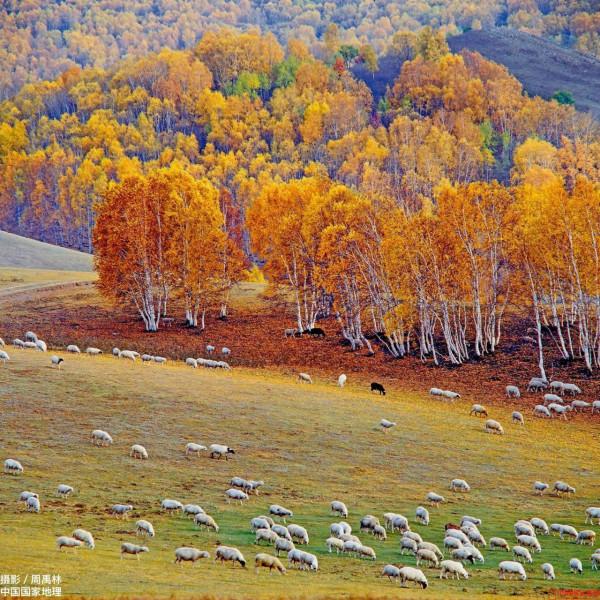 感謝《國家地理》雜誌，讓我們可以看到這麼美得景色
