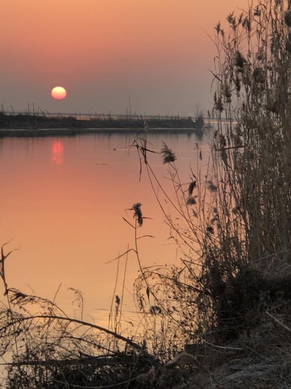 冰封天凍又何妨，漁者之樂有鯽相伴