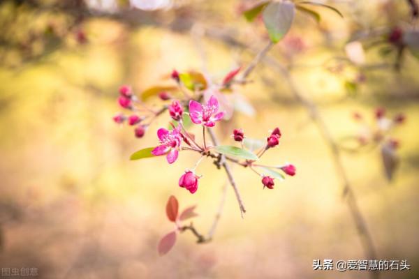 一個人的圈子越“乾淨”,就越幸福 一個人的圈子越“乾淨”,就越幸福