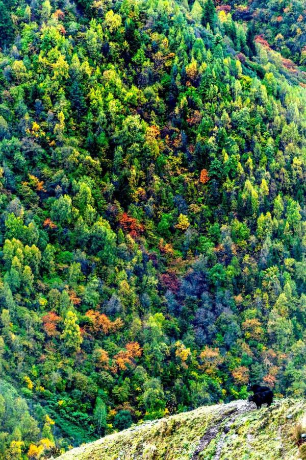 人生一定要去的50個地方!被孤獨星球評為亞洲最佳旅行地的Top1 人生一定要去的50個地方!被孤獨星球評為亞洲最佳旅行地的Top1