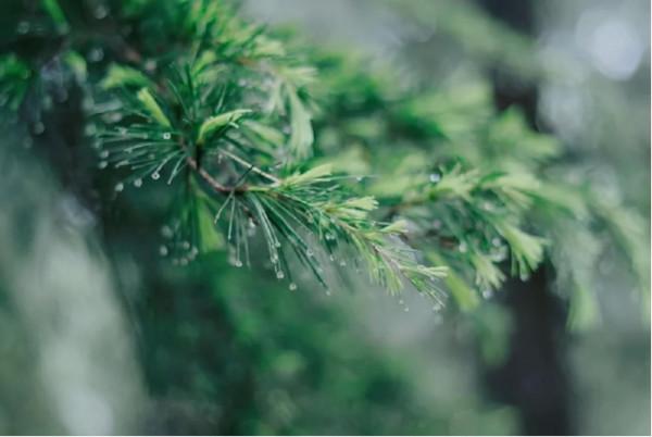 分析|高一、高二和高三的區別在哪裡? 分析|高一、高二和高三的區別在哪裡?