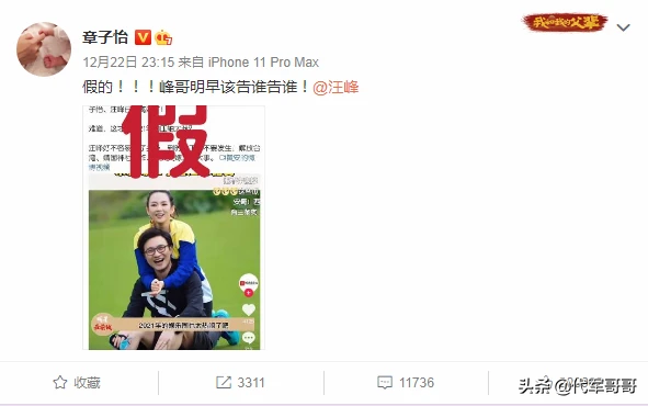 章子怡怒斥離婚謠言！2021年被離婚傳聞困擾的女明星還有誰？