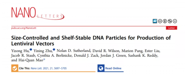 華人團隊改進病毒載體生產過程,提升大規模生產效率和可靠性 華人團隊改進病毒載體生產過程,提升大規模生產效率和可靠性