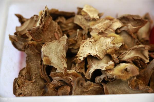 腰椎間盤突出症之&OpenCurlyDoubleQuote;腰三藥&rdquo;