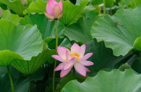 退休後的社交潛規則：我不麻煩你，你也別來麻煩我