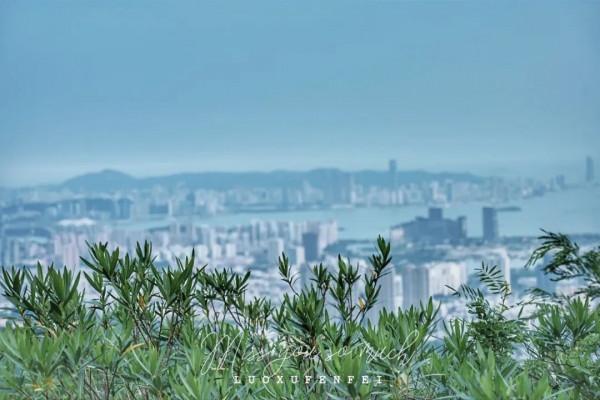 打卡廈門約會聖地！在浪漫之城，賞山海美景