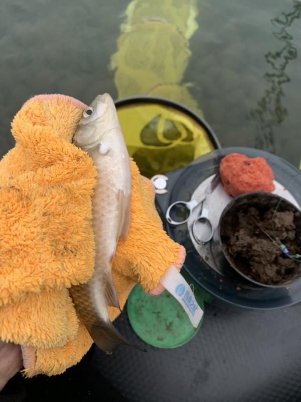 能夠起的早選好位置,空軍基地也是可以有收穫的 能夠起的早選好位置,空軍基地也是可以有收穫的