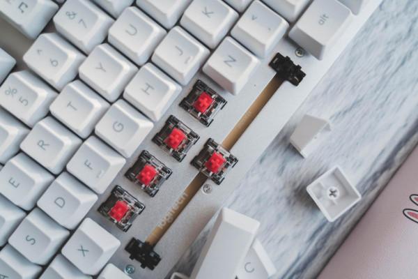 機械鍵盤居然能如此寵萌 羅技LINE FRIENDS聯名款鍵盤開箱