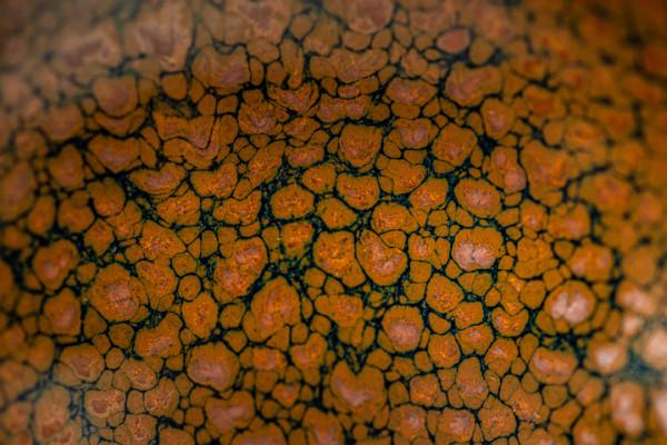 失傳數百年的宋代鷓鴣斑，竟被76歲老人復燒成功，釉水封藏22年