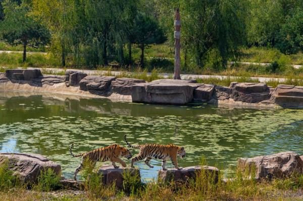 老許路書:遊遍黑龍江,美景一網打盡,13個地市一個不能少 老許路書:遊遍黑龍江,美景一網打盡,13個地市一個不能少