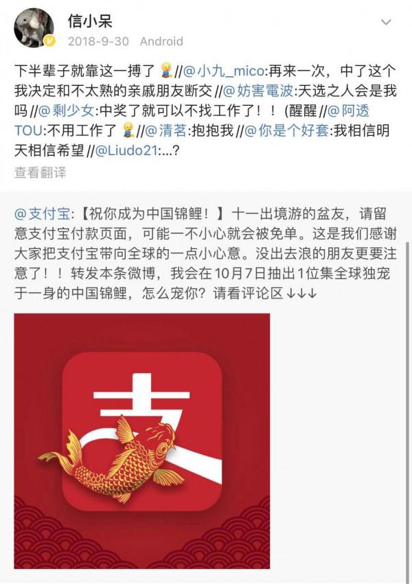 3年過去了，當時中1個億的信小呆，如今連找工作都成問題