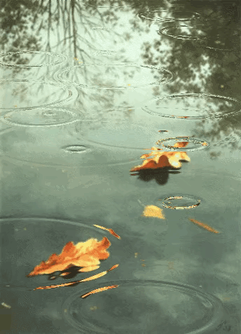 習字縱情紀懷之64