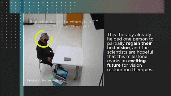 知耕快報｜世界最小農業AI機器人問世；藻類基因注入重塑視覺神經