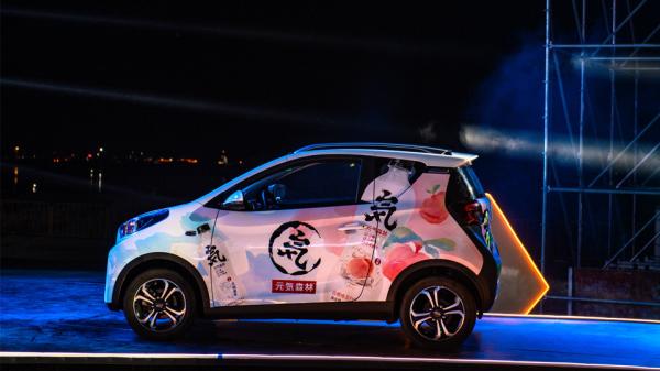 奇瑞小螞蟻購車手冊:多花1萬,換100km續航,香不香? 奇瑞小螞蟻購車手冊:多花1萬,換100km續航,香不香?