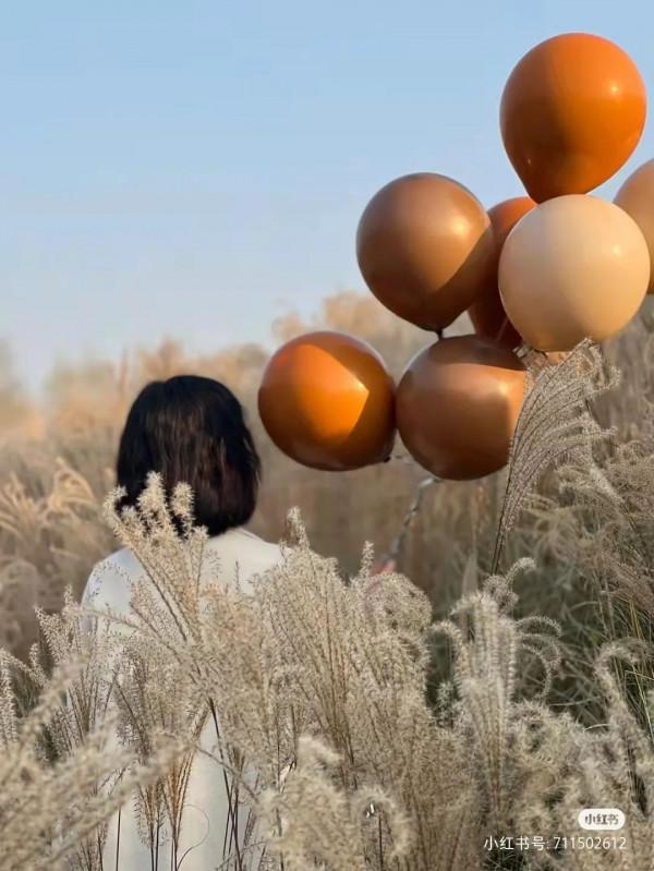 蘆葦搖，花絮飄！快來拍美美的冬季浪漫大片吧！