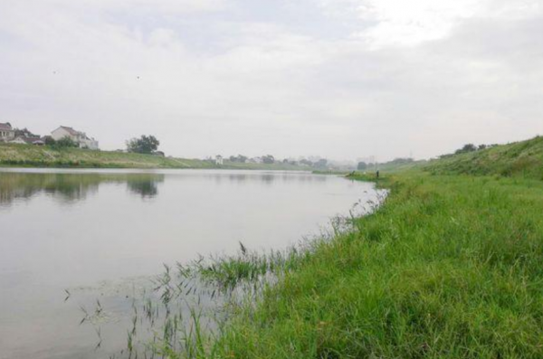 冬釣魚口差，千萬彆著急封竿，學會這幾招助你“魚果累累”