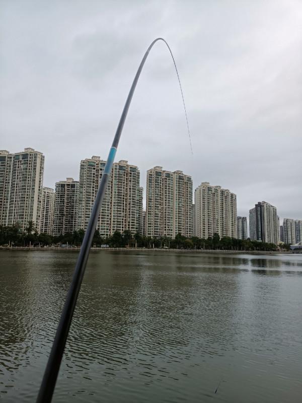 早起的鳥兒有蟲吃，晨釣提竿遛大魚&hellip;&hellip;