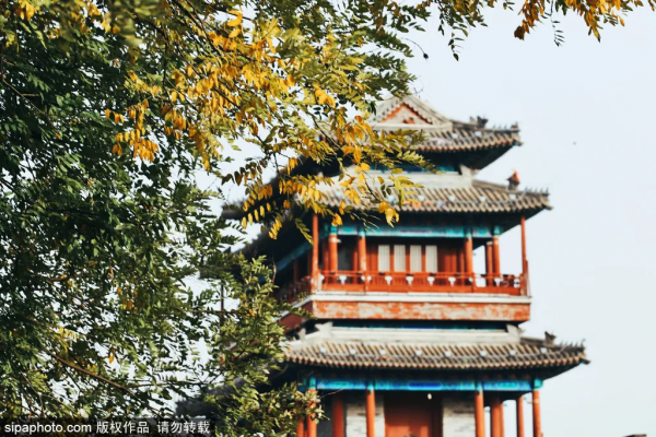 抓緊！初冬探秘京城“龍脈”，紀念最後一抹秋色~