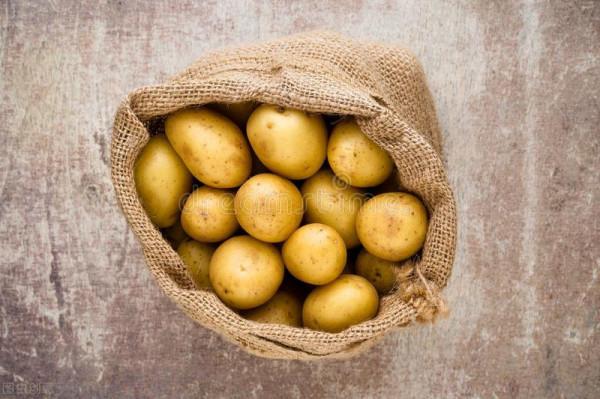 過去土豆僅雞蛋大,為何現在的土豆越來越大?3點原因有關 過去土豆僅雞蛋大,為何現在的土豆越來越大?3點原因有關