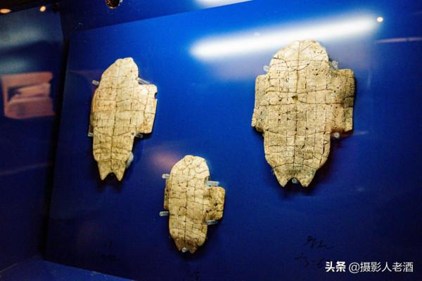 河南安陽殷墟遺址2021旅行攻略，門票70元兩個景點，還有可愛鹿群