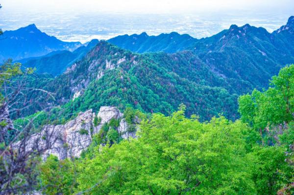 鄉土散文：秦嶺蒼蒼 渭水泱泱