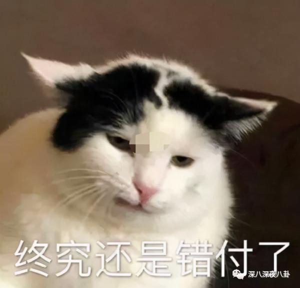 永遠可以相信大S，姐姐是真不騙人