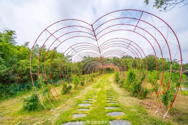 金庸小說裡出現的神仙之境，可以拍一部浪漫大片