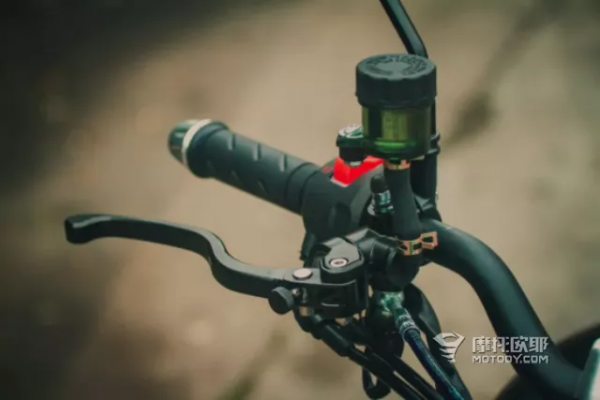 國產英菲爾德？諾頓有力平替？雷克造了個什麼東西？