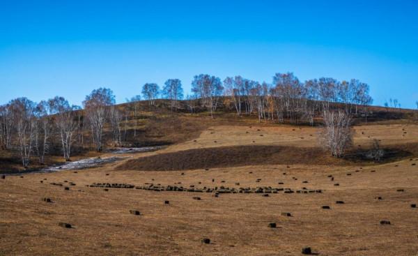 三天三季-我的烏蘭布統之旅-第五篇