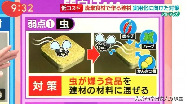 用白菜蓋房子，當作建材是混凝土的４倍，不但環保還可以拿來吃？