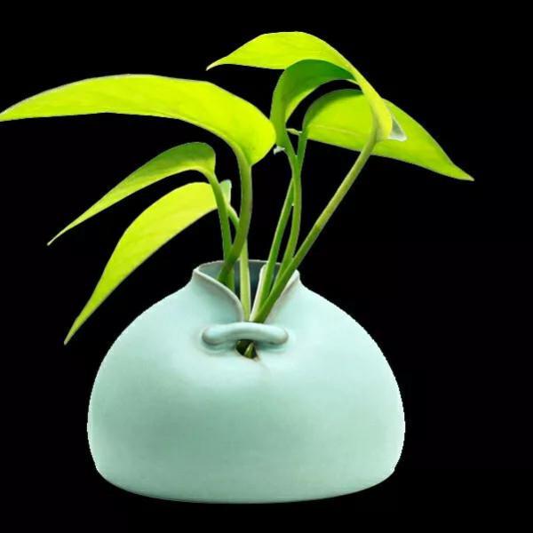 天秤座2021年11月下旬運勢 天秤座2021年11月下旬運勢