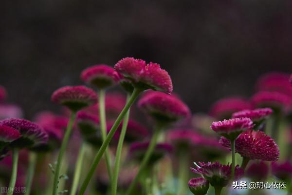 我們是沉穩深情的金牛座，請相信我們的努力終有回報