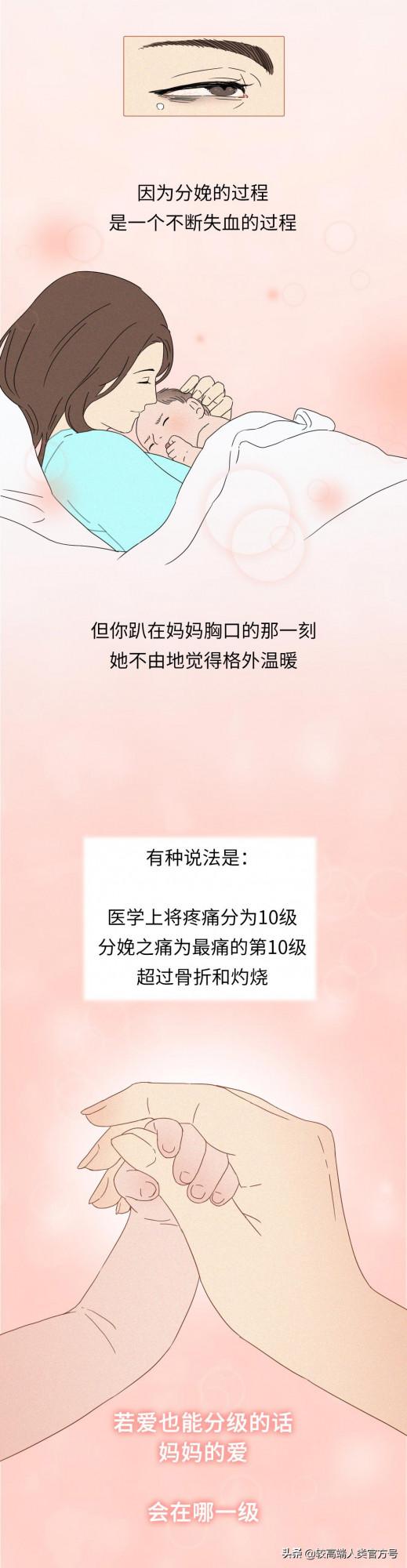 你出生前的24小時,都經歷了什麼? 你出生前的24小時,都經歷了什麼?