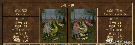 六級兵哪家強？飛龍王當仁不讓