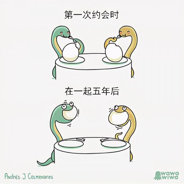 一組治癒系的小幽默，一個溫暖的小驚喜