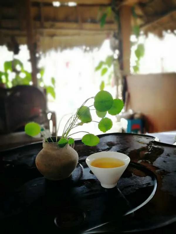 累了,就請喝杯茶 累了,就請喝杯茶