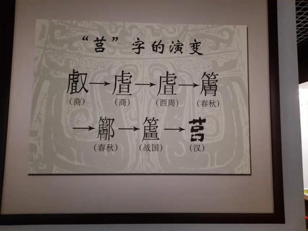 一個沒有文化的南方人對山東的初步印象 一個沒有文化的南方人對山東的初步印象