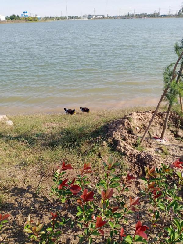 小海拾存摺 (小小說) 小海拾存摺 (小小說)