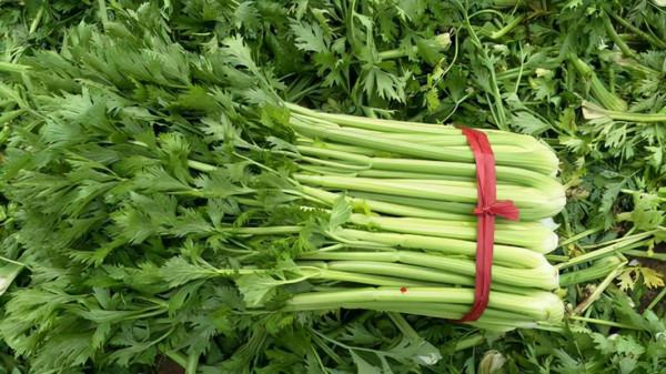 醫生告誡：這5種蔬菜或自帶“毒素”，吃前最好先焯水，別嫌麻煩