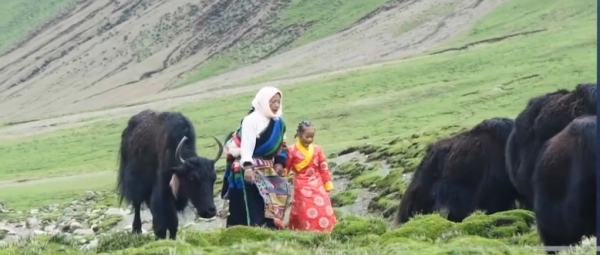 中印在東章曾經對峙82天,如今情況如何?專家實地瞭解 中印在東章曾經對峙82天,如今情況如何?專家實地瞭解