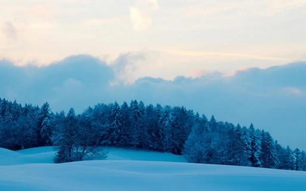 冰雪美景欣賞 冰雪美景欣賞