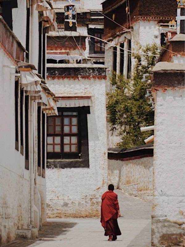 曲登尼瑪冰川｜普通人也能抵達的冰川秘境