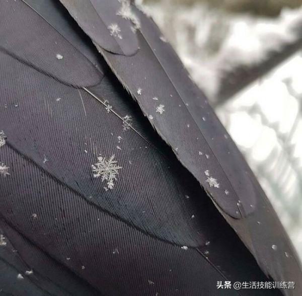 35張圖片帶我們領略大自然的狂野和美麗 35張圖片帶我們領略大自然的狂野和美麗