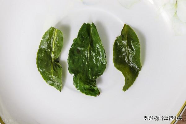 鐵觀音是什麼茶?你真的瞭解鐵觀音嗎? 鐵觀音是什麼茶?你真的瞭解鐵觀音嗎?