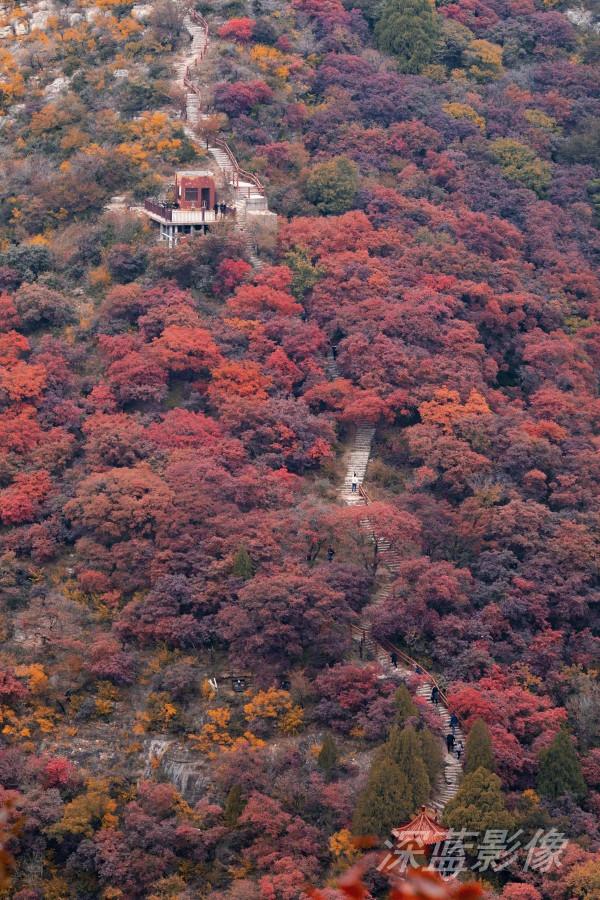 石門坊最美紅葉 石門坊最美紅葉