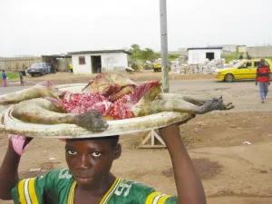 非洲窮人真實生活,窮的飯都吃不上,只能吃土,是真的嗎? 非洲窮人真實生活,窮的飯都吃不上,只能吃土,是真的嗎?